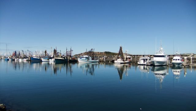 Fishing boats and cruisers moored in the Coffs Harbour marina on still water, with Muttonbird Island behind.