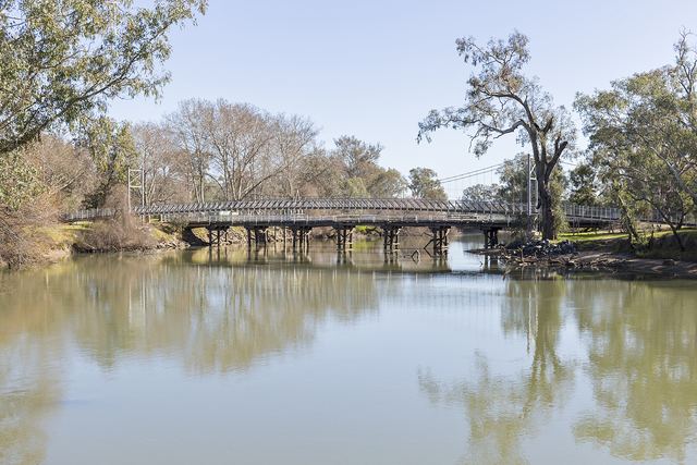 The old timber stock bridge and a newer suspension footbridge crossing Wodonga Creek, with river red gums reflected in the still water.