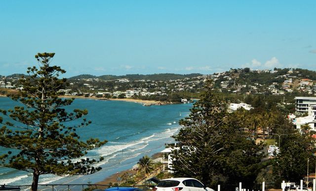 Yeppoon's main beach curving round the bay, framed by Norfolk pines, with hillside homes beyond.