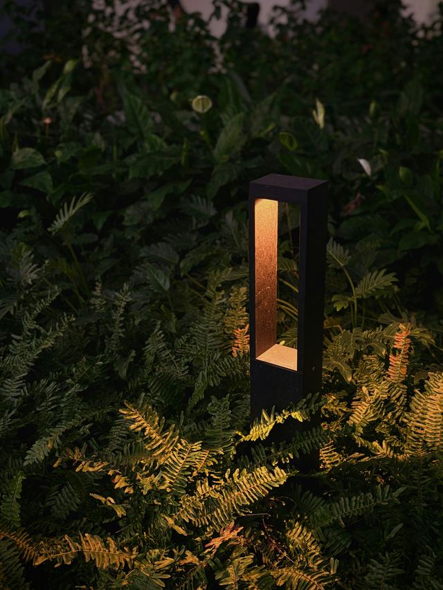 A black garden bollard light glowing among ferns at night.